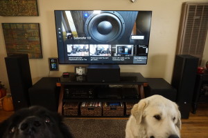 Subwoofer 101 Mascots