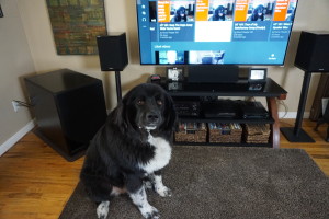 Big Woofers.